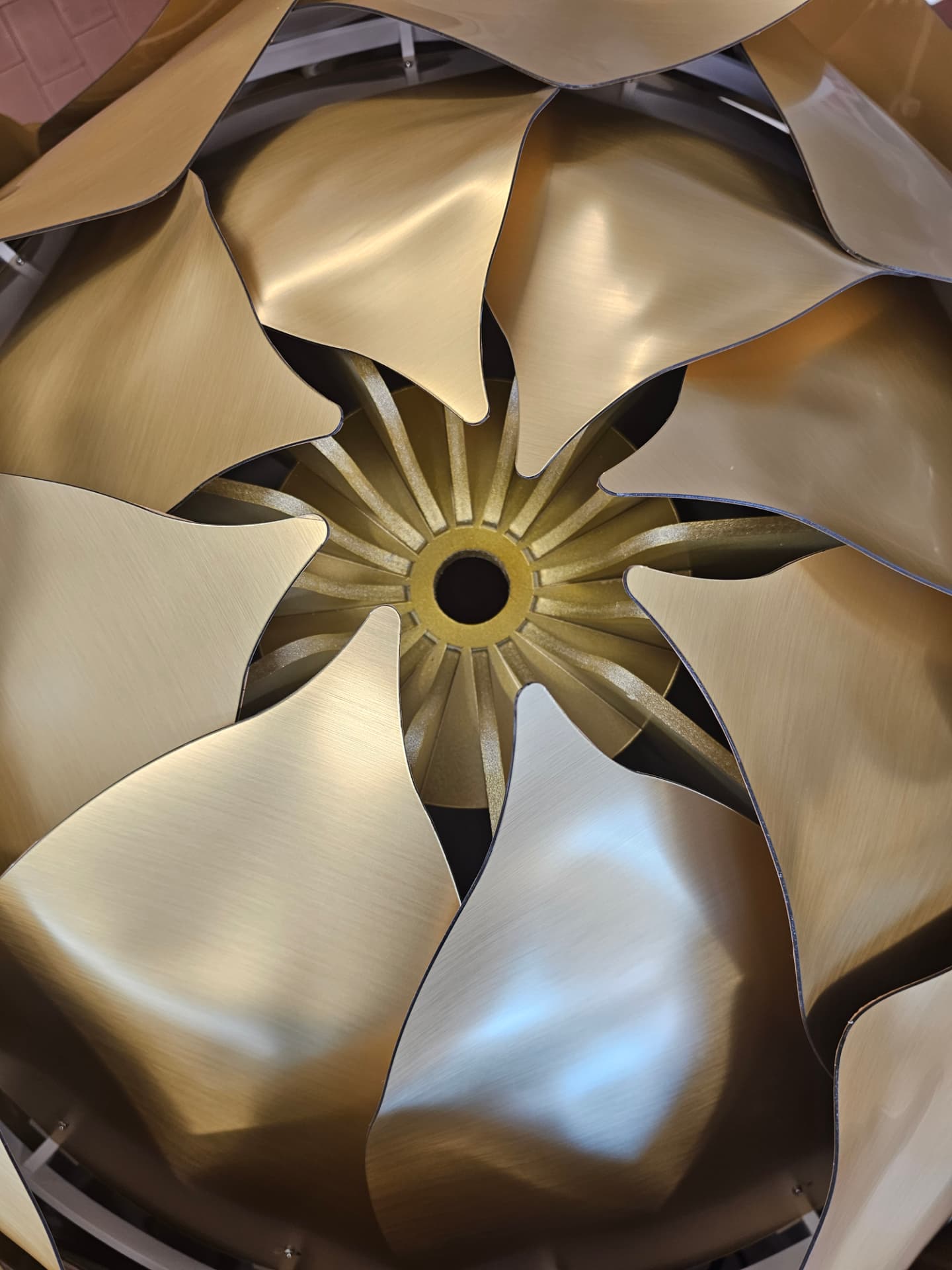 Blick in das Innere der Hopfendolde mit sternförmiger Mittelrosette